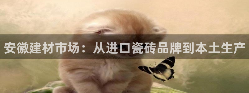 杏鑫平台注册网址是多少