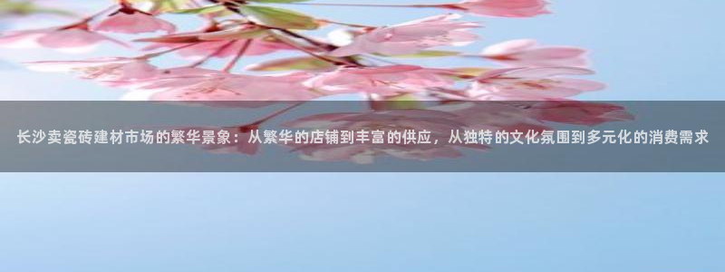 杏鑫娱乐官网登录不了