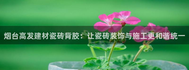 杏鑫平台广7O777