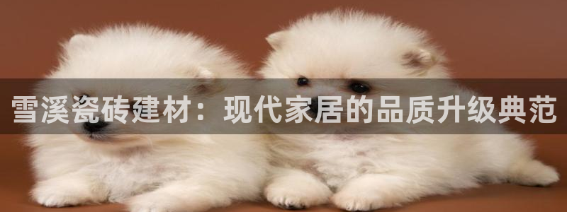 杏鑫平台怎么样黑钱吗安全吗是真的吗