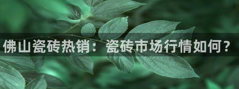 杏鑫注册登录代理