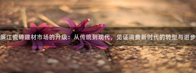 杏鑫平台招商怎么样