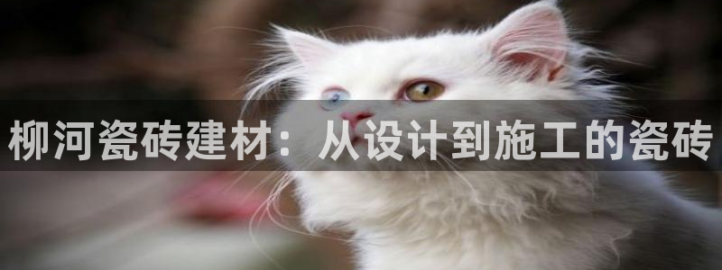 杏鑫平台注册入口在哪里找