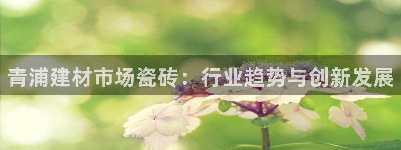 杏鑫娱乐是真的吗