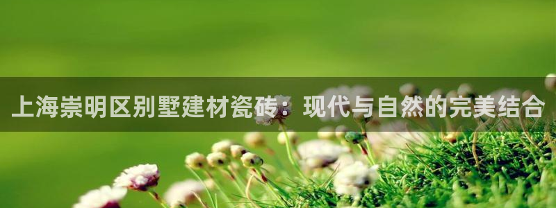 杏鑫平台代理注册