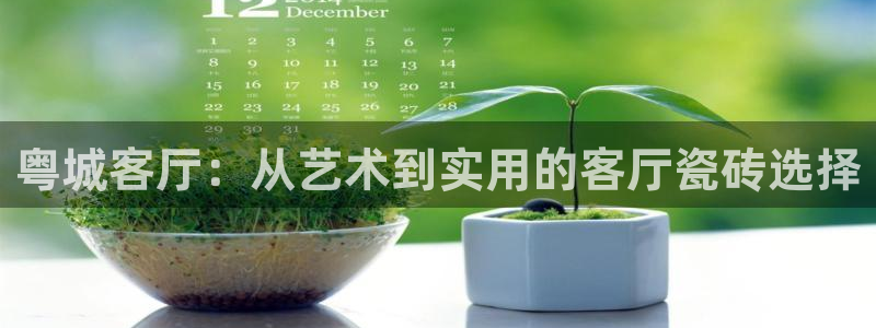 杏鑫平台注册登录