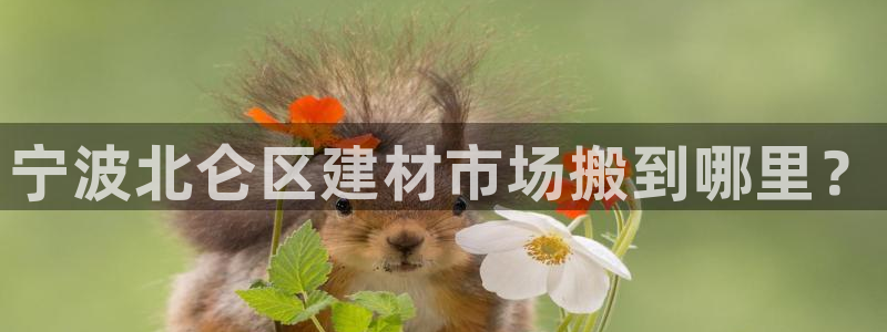 杏鑫平台平台娱乐怎么样