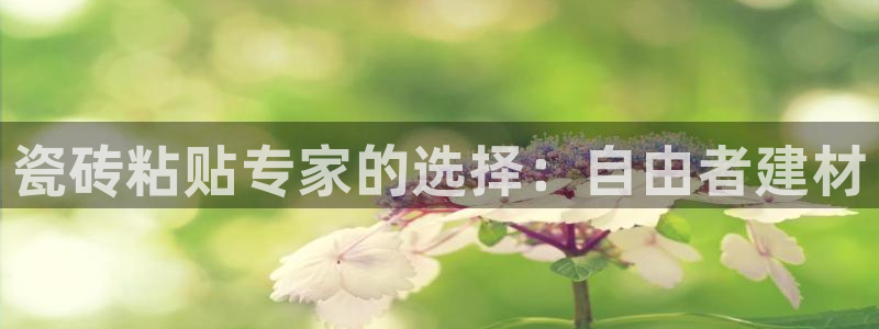 杏鑫娱乐平台登录