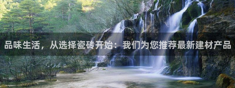 杏鑫平台注册地址是哪里