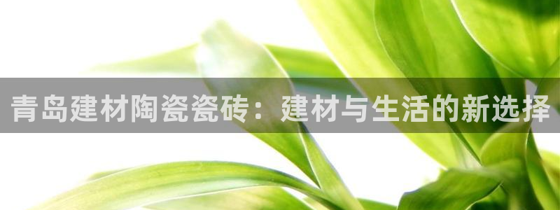 杏鑫平台招商电话号码查询