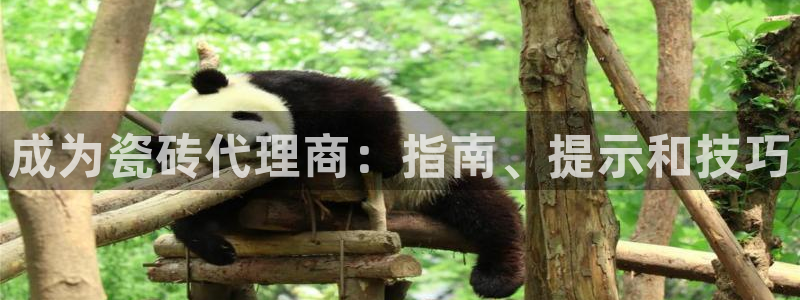 杏鑫平台代理怎么样