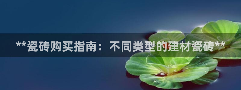 杏鑫平台怎么样知乎