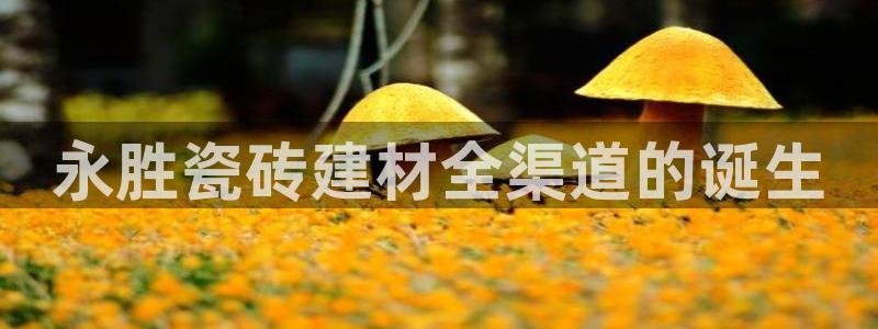 杏鑫注册平台官方网站入口