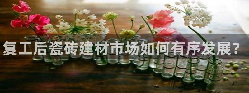 杏鑫平台代理注册多少钱一年