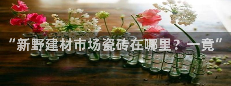 杏鑫娱乐官网首页