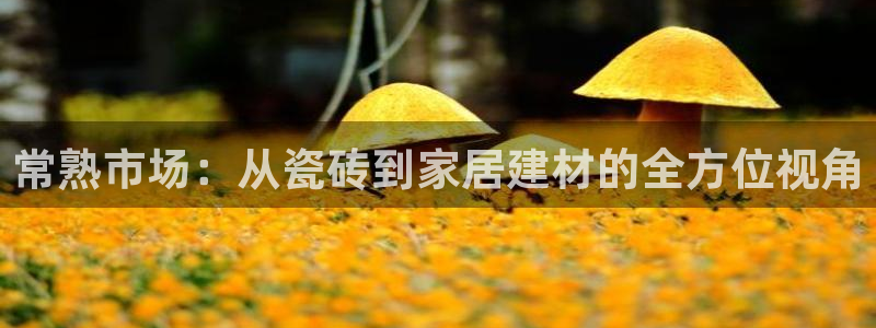 杏鑫官网注册账号是什么