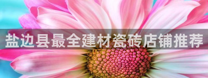 杏鑫平台代理注册