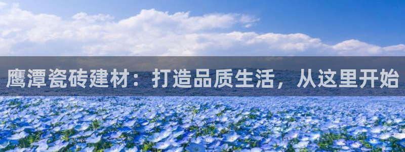 杏鑫官方平台怎么样啊知乎