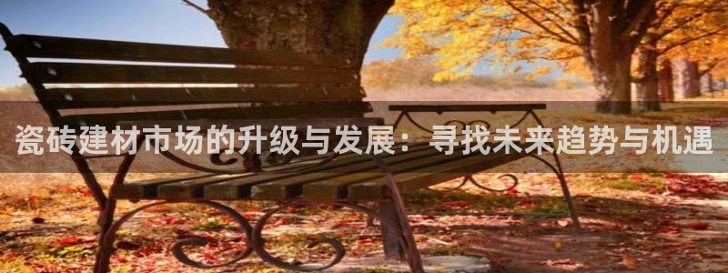 杏鑫官方平台怎么样啊