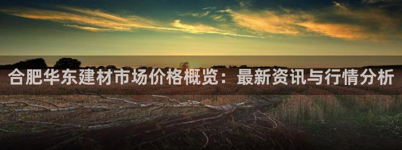 杏鑫平台招商电话