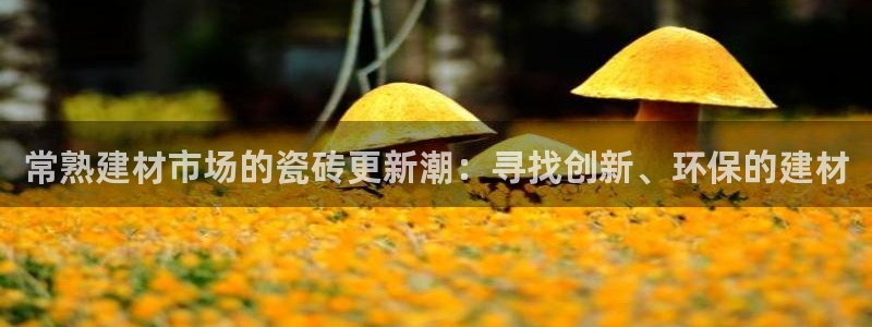 杏鑫官方平台怎么样啊可靠吗