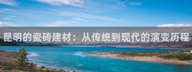 杏鑫平台代理注册流程