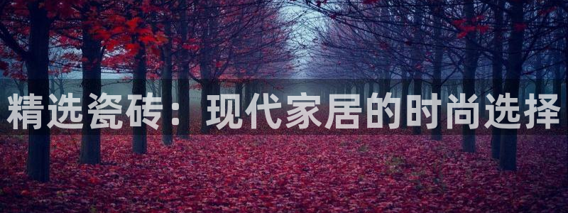 杏鑫手机客户端