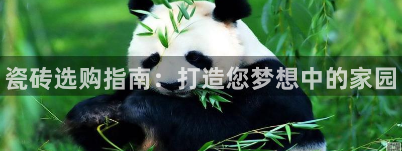 杏鑫平台注册地址