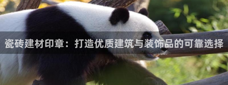 杏鑫官网最新信息新闻