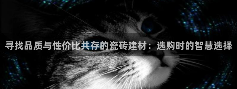 杏鑫平台代理注册多少钱一年