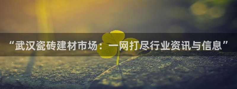 杏鑫平台注册网址查询