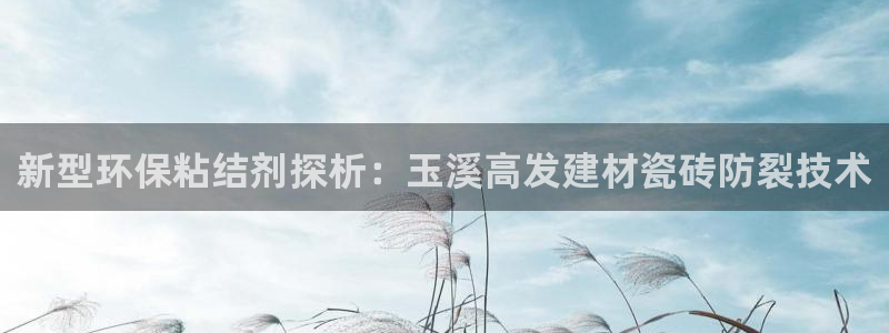 杏鑫平台在线注册流程