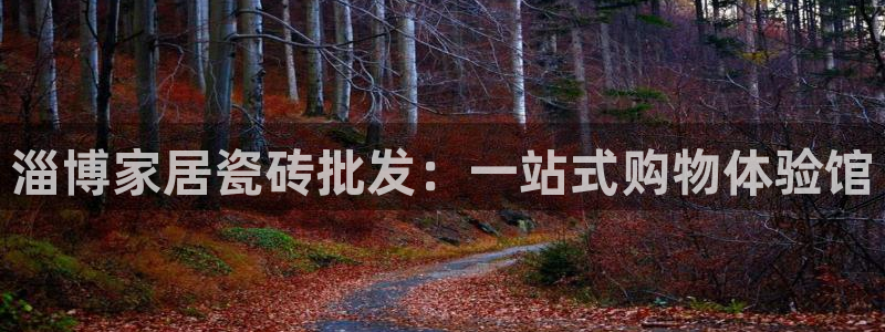 杏鑫平台注册入口在哪里找