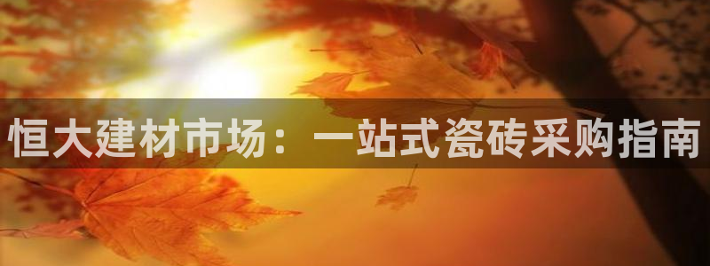 杏鑫平台登录注册