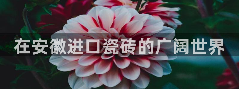 杏鑫平台注册登录