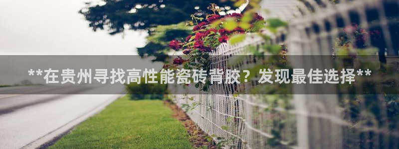 杏鑫平台代理注册要钱吗