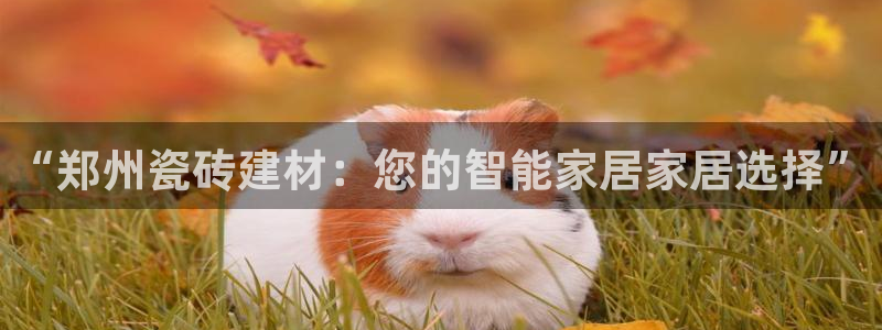 杏鑫注册登录网