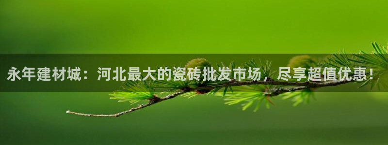 杏鑫官方平台怎么样啊