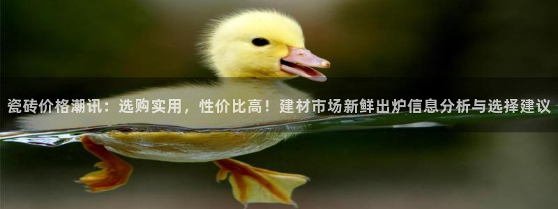 杏鑫娱乐官方网站客户端