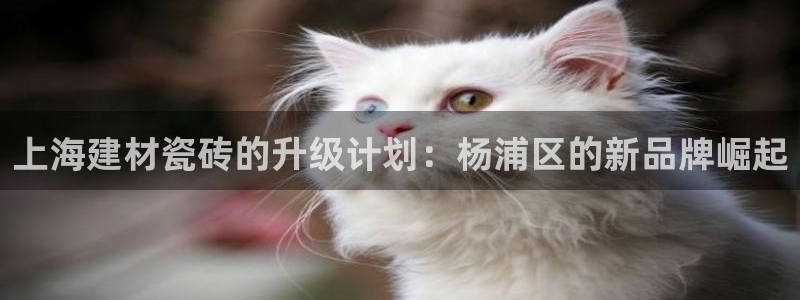 杏鑫官网注册账号密码