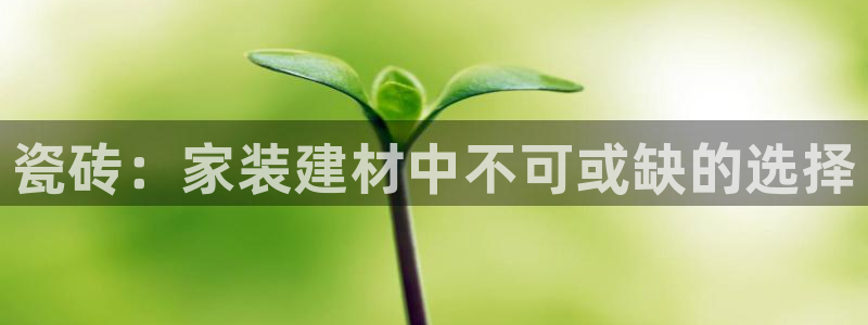 杏鑫娱乐是真的吗还是假的