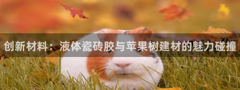 杏鑫注册登录网址是多少