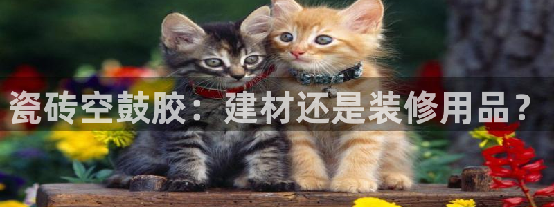 杏鑫平台招商怎么样可靠吗